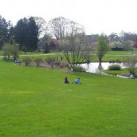 澳大利亞環境美化蘇老師13333247868同微信