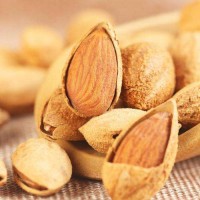 廣州佛山巴旦木進口清關服務巴旦木進出口申報進口清關代理報關